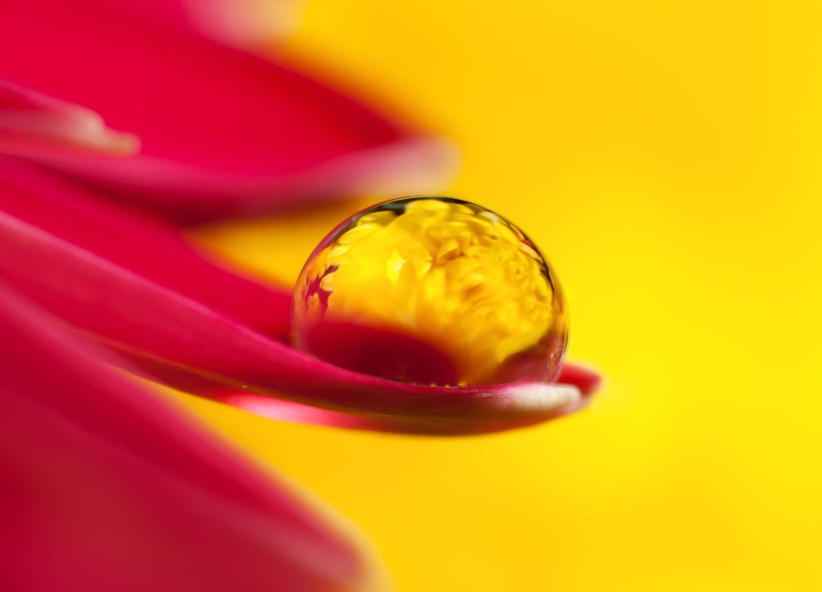 Princeton Photo Workshop: Macro Water Droplet Workshop with Don Komarechka