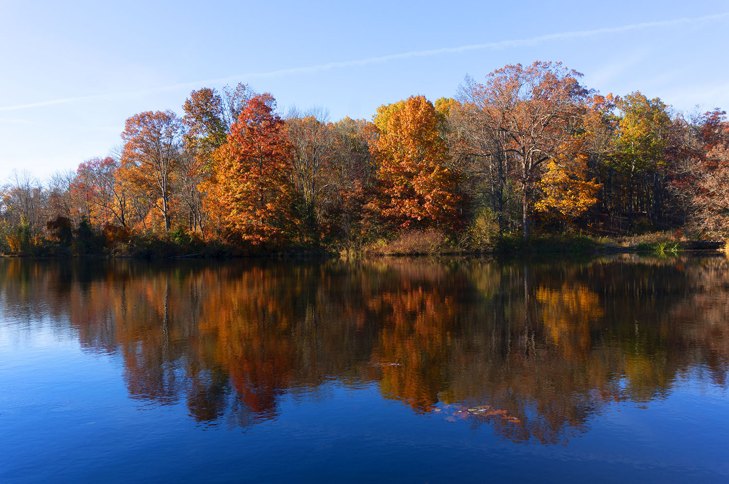 Friends of Princeton Open Space to celebrate 50 years with an Oktoberfest Celebration: Local craft beer, Ironbound cider and live music with local performer ESSIE