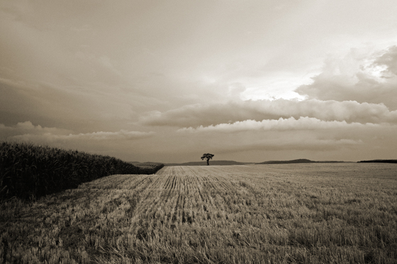 \\\"Quietude\\\" (Art Gallery Exhibit)