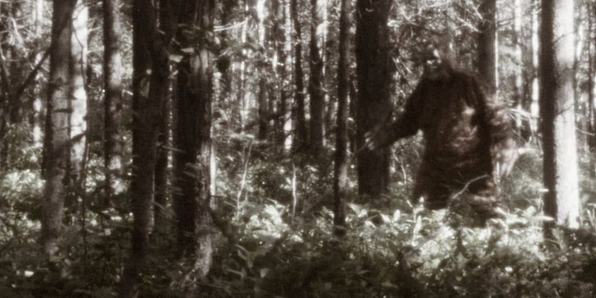 Find Bigfoot in the Library