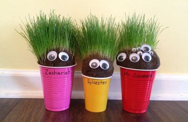 Seed Exchange & "Plant People" Craft