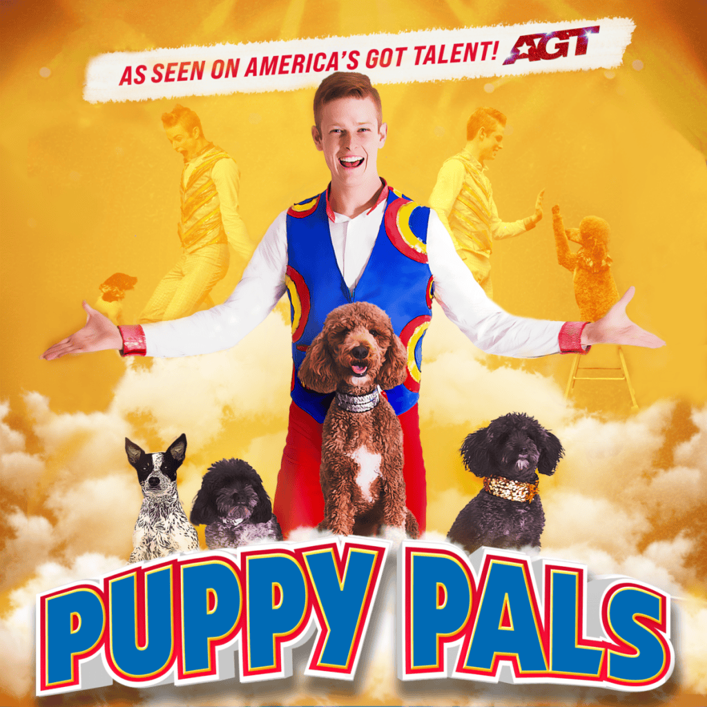 Puppy Pals Live