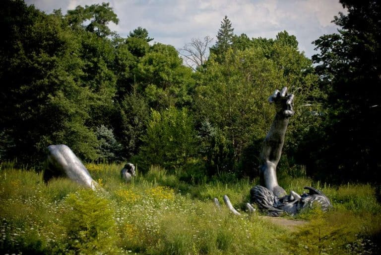 The Awakening - Public Art Installation and Opening Celebration