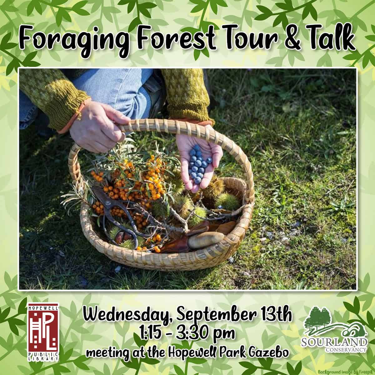 Foraging Forest Tour & Talk