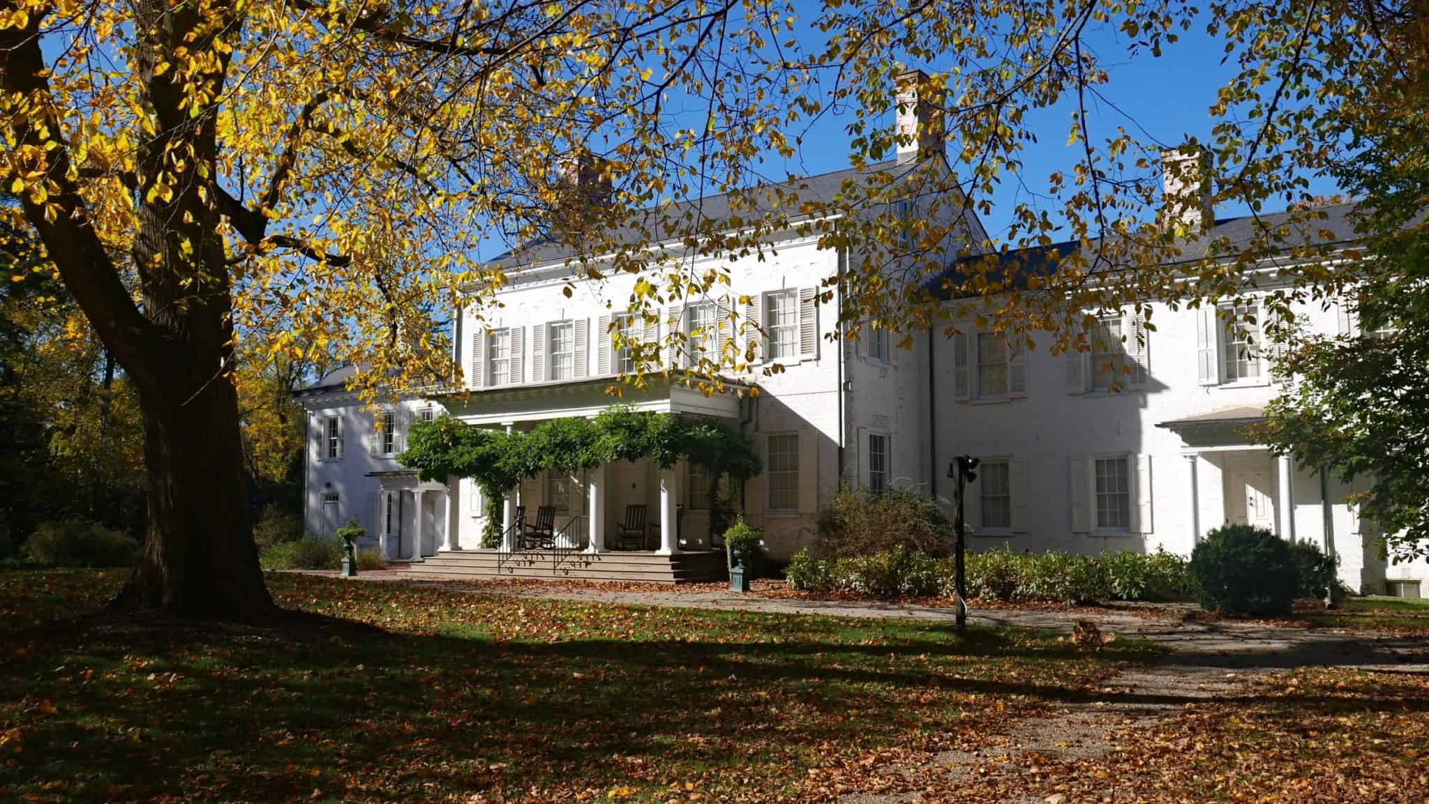 Morven Harvest Festival