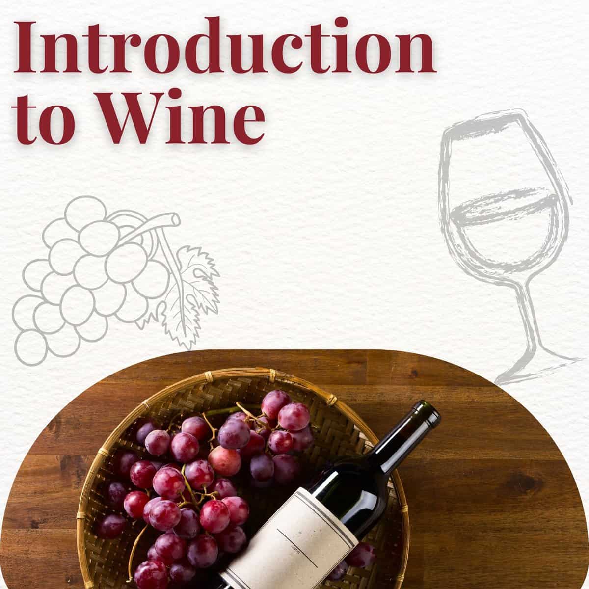 Introduction to Wine