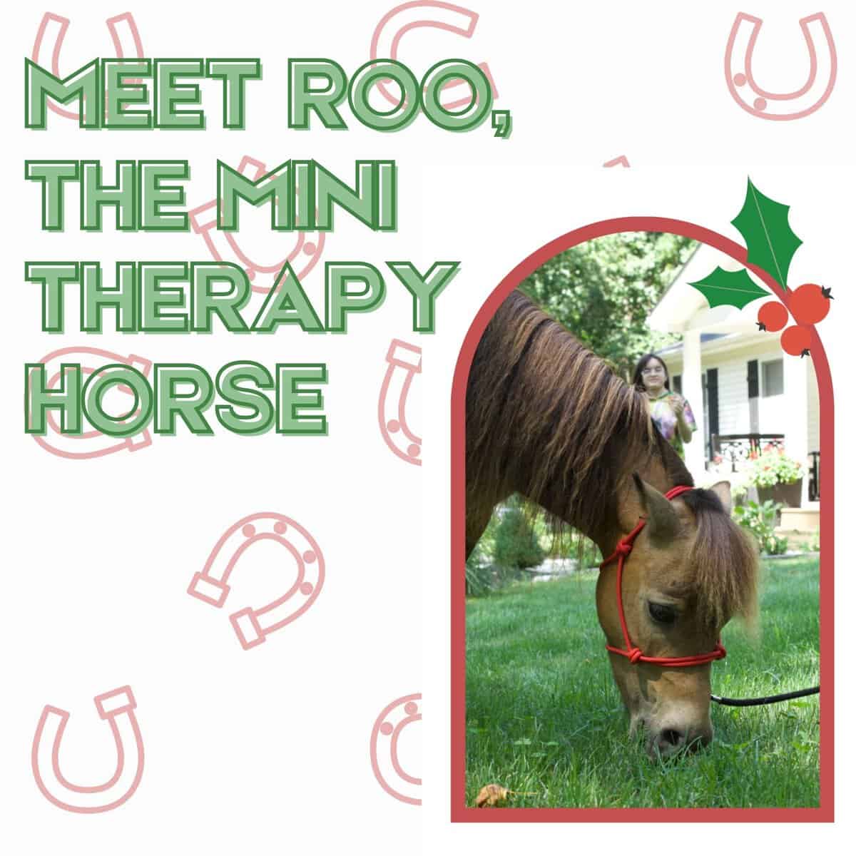 Adults & Seniors: Meet Roo the Mini Therapy Horse