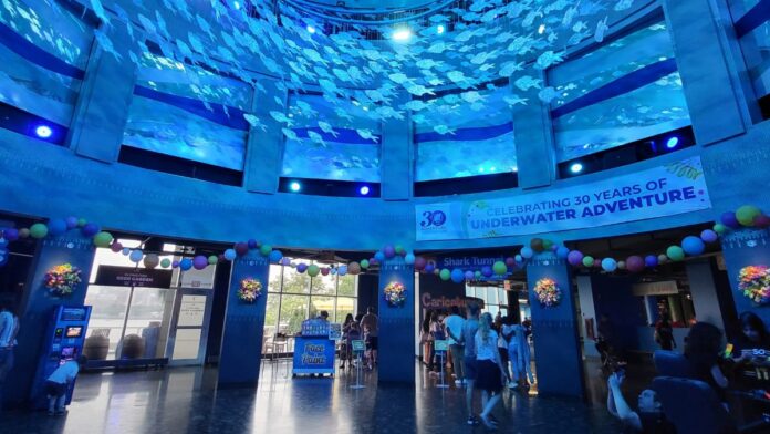 Adventure Aquarium Guide