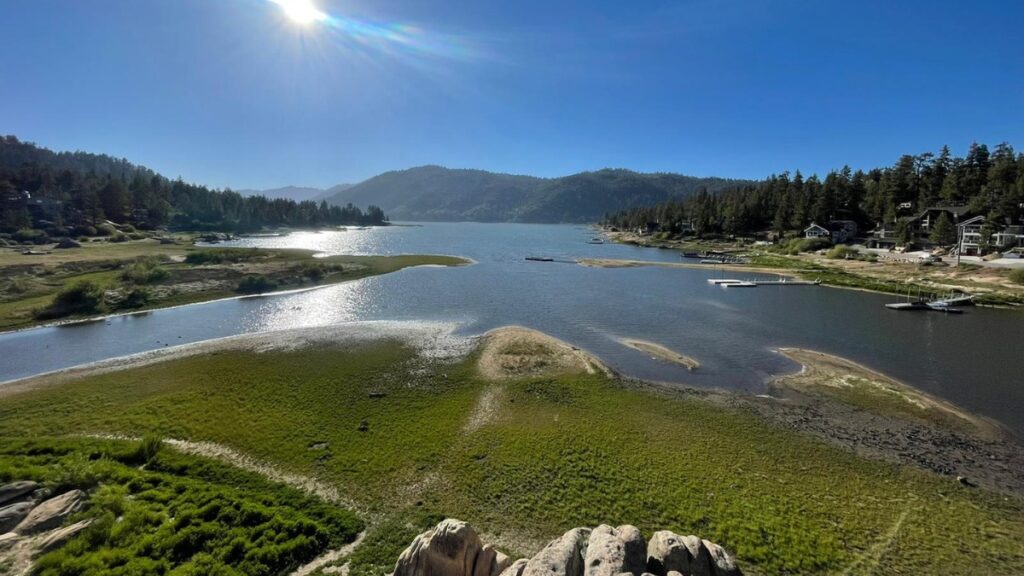 Greenery of Big Bear Lake