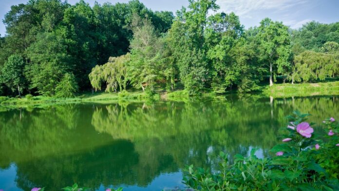 Best Hidden Gems in Central Jersey