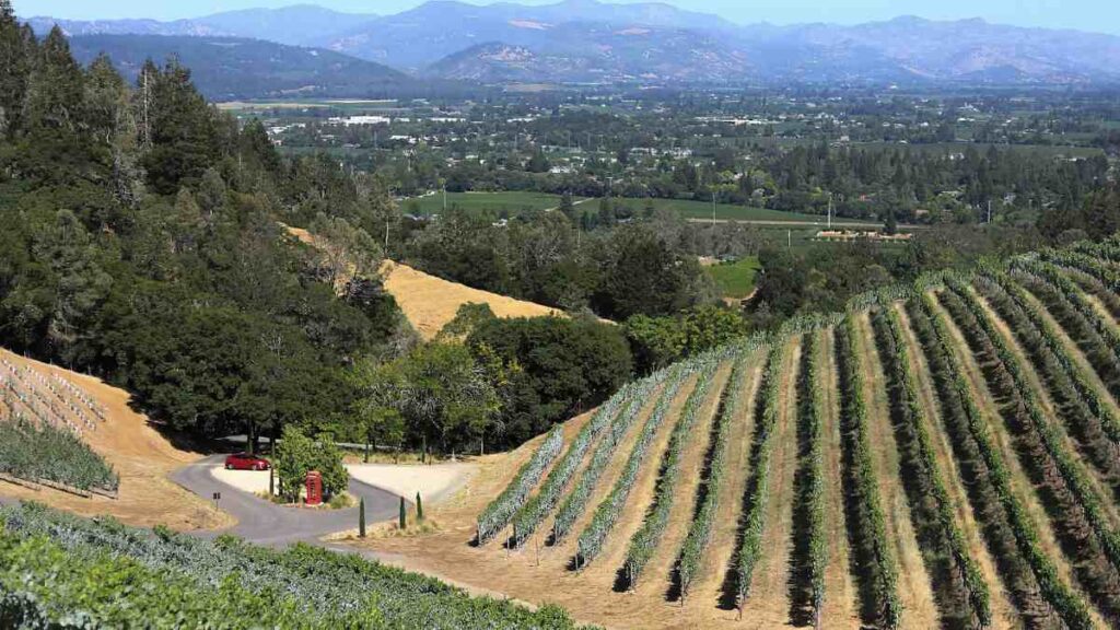 Napa Valley