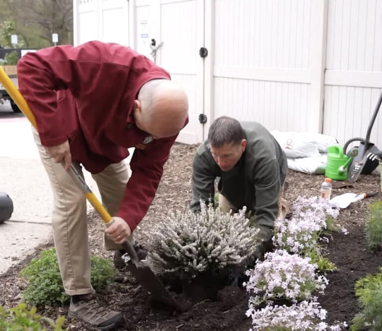 Township begins initiative to ‘save the monarch butterfly’