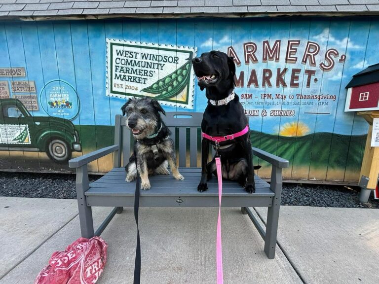 Common Calendar, Packet Papers, May 23