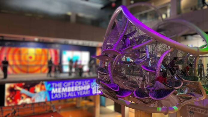 Exploring the Most Unusual Museums