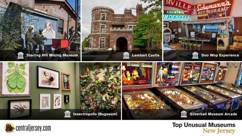 Top Unusual Museums, NJ