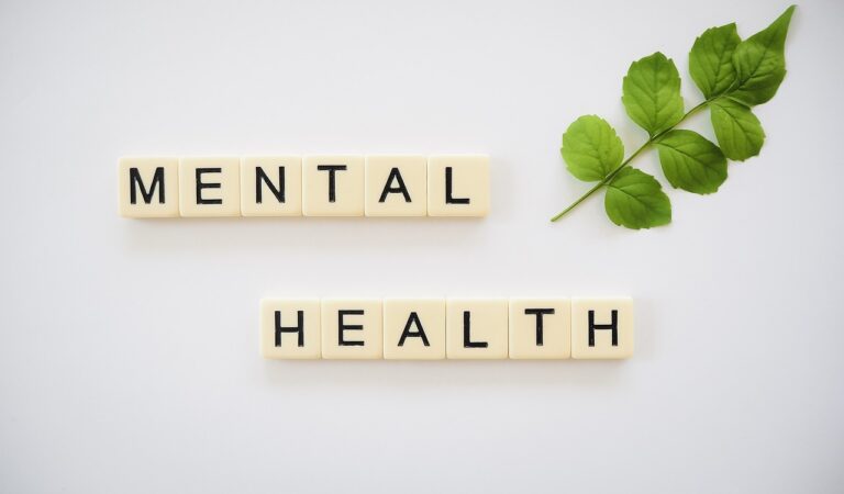 School district adds mental health counselor