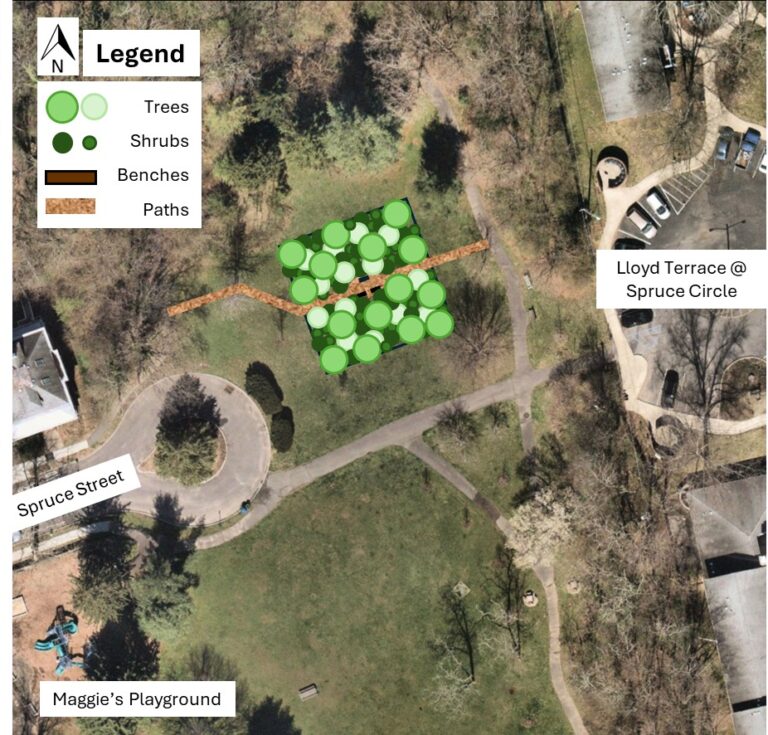 Princeton receives Sustainable Jersey grant for microforest