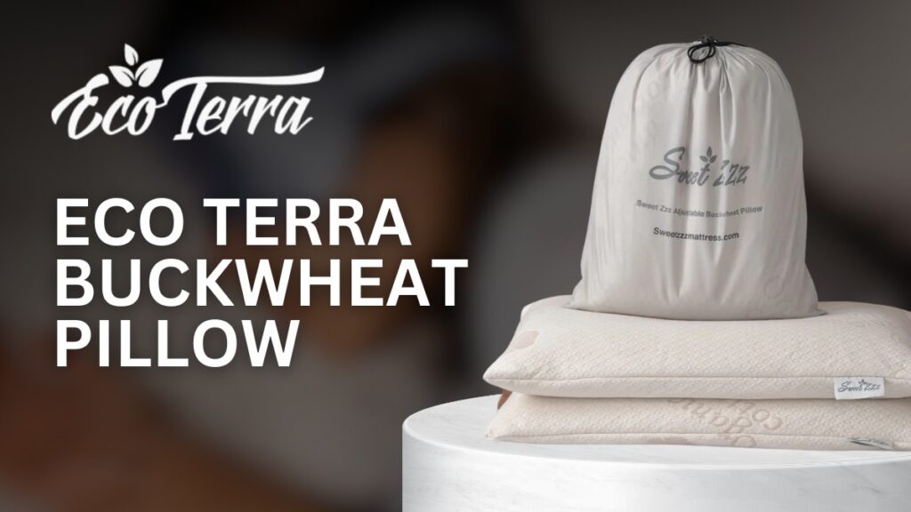 Eco Terra Buckwheat Pillow