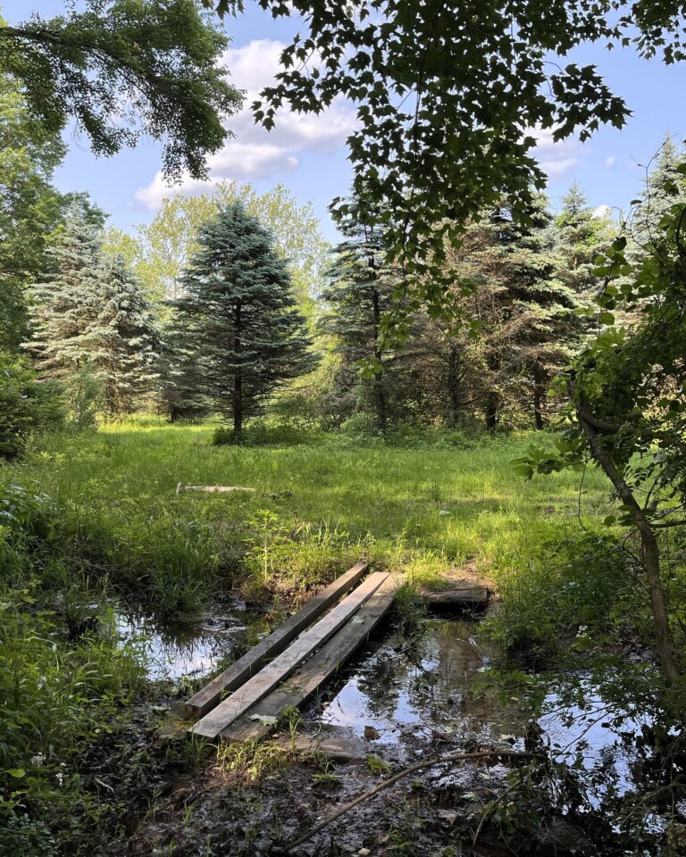 Princeton launches nature park survey