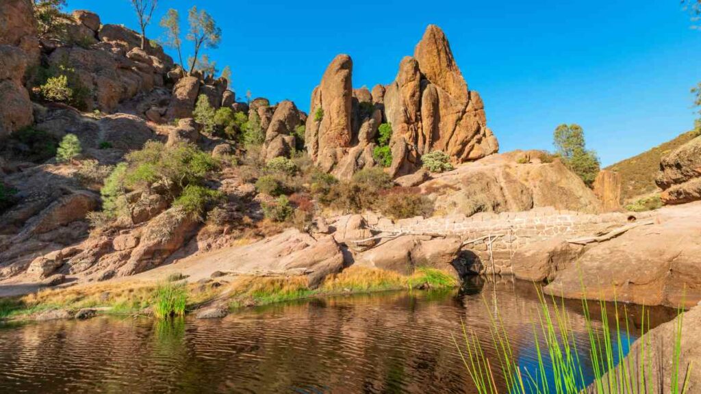 Pinnacles National Park