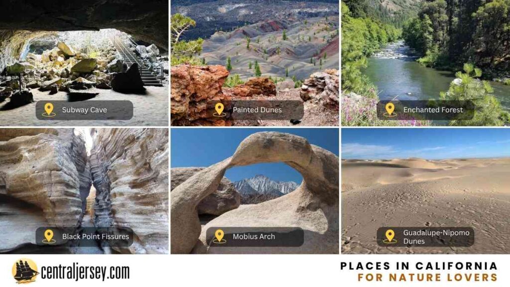 Places in California for Nature Lovers