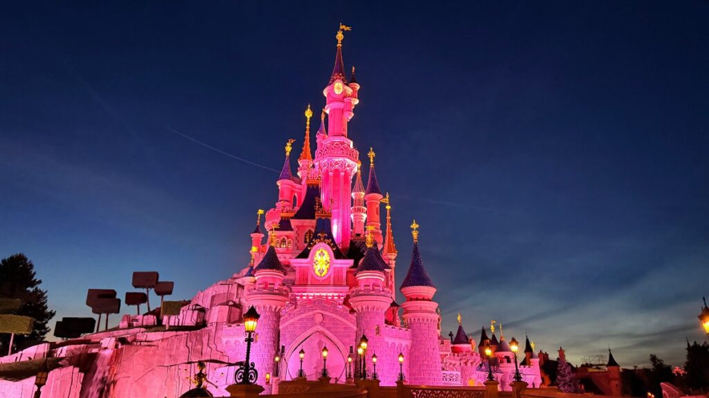 The Disneyland Castle