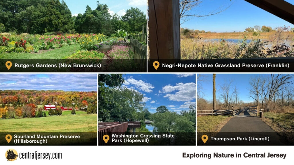 Exploring Nature in Central Jersey