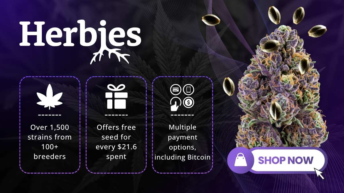 Best Seed Banks for High-Yielding Cannabis Seeds With High Quality Genetics