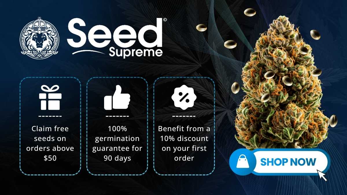 Best Seed Banks for High-Yielding Cannabis Seeds With High Quality Genetics