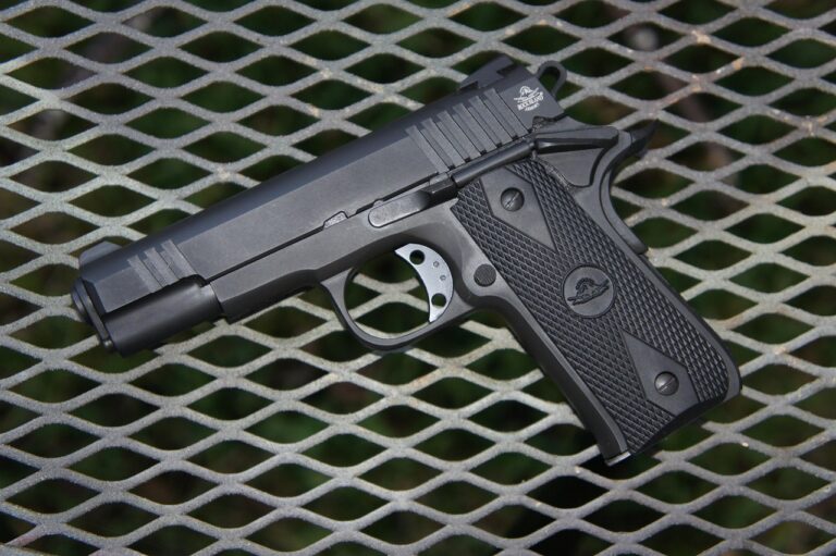 Driver charged with loaded gun in vehicle