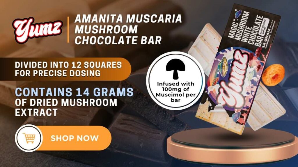 Amanita Muscaria Mushroom Chocolate Bar YumzLab