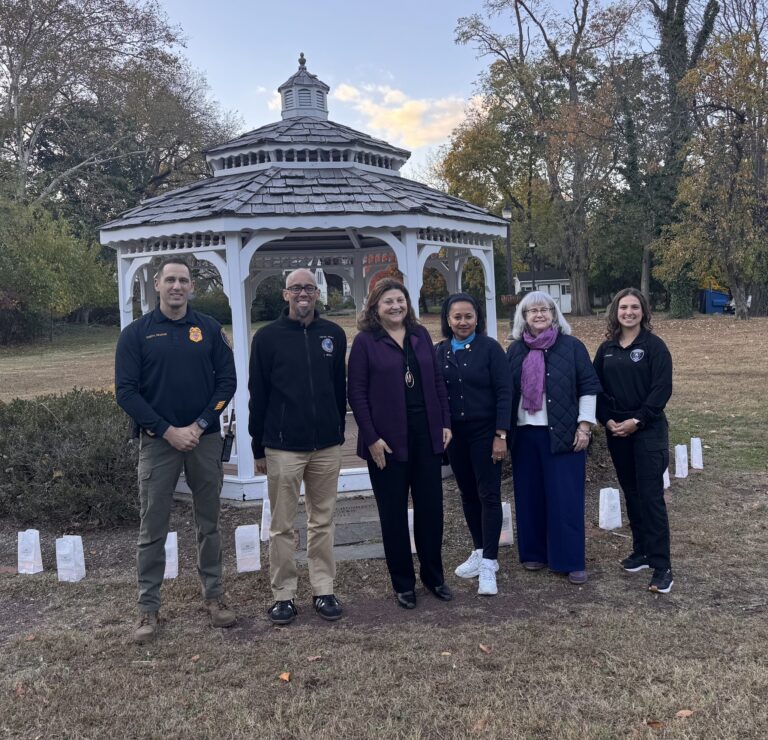 Domestic violence support