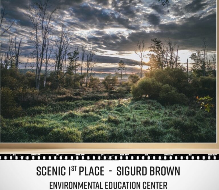 County parks photo contest now open