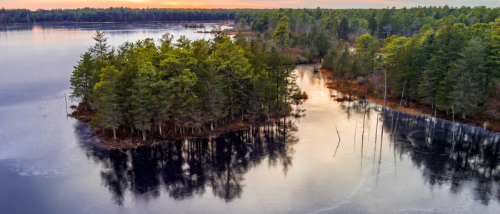 The frozen history of the New Jersey Pine Barrens