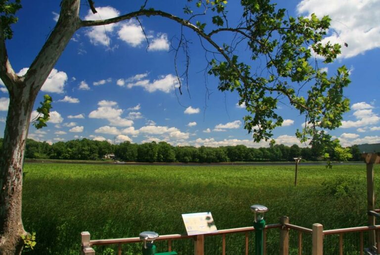 County seeks public input on parks